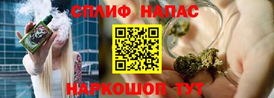 мдпв Гатчина