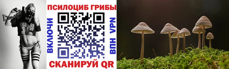 Псилоцибиновые грибы Magic Shrooms  наркотики  Зерноград 