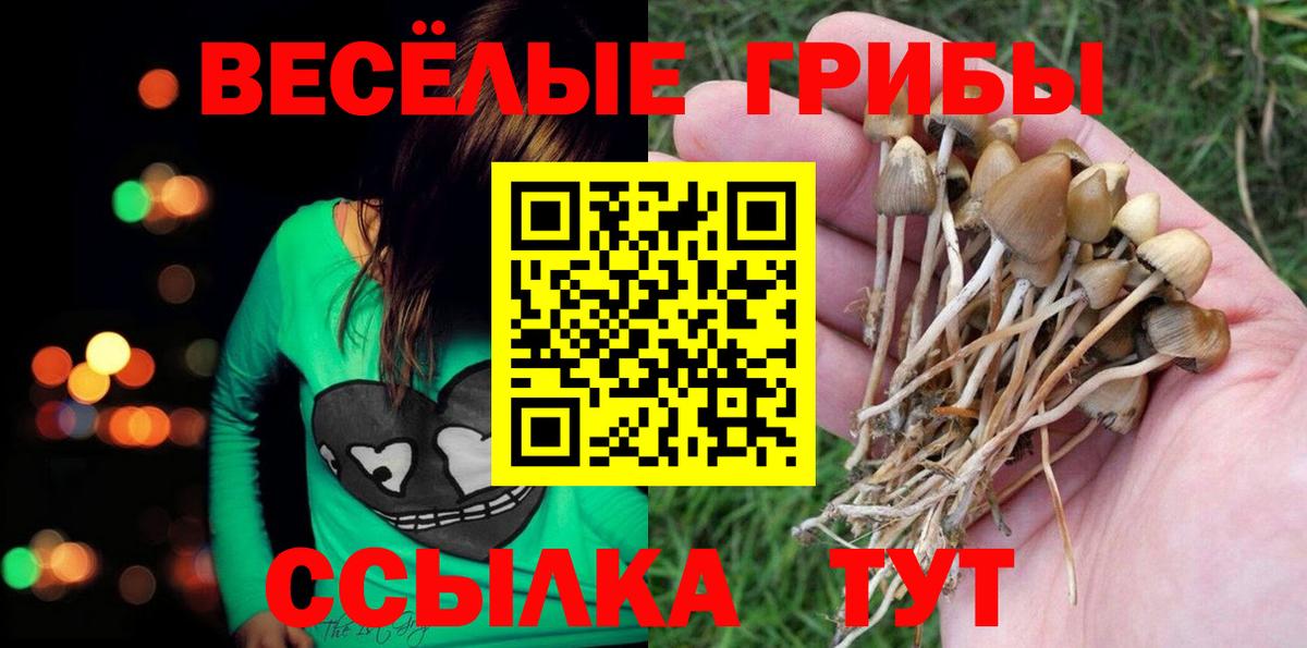 Псилоцибиновые грибы мухоморы Зерноград