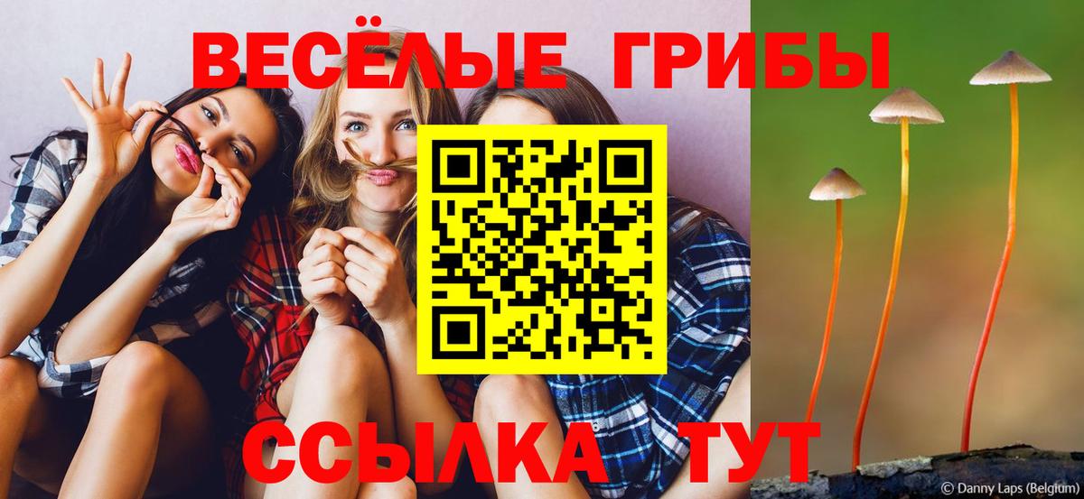 Галлюциногенные грибы GOLDEN TEACHER  Зерноград  Галлюциногенные грибы Cubensis 